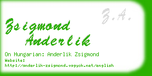 zsigmond anderlik business card